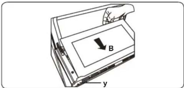 B y