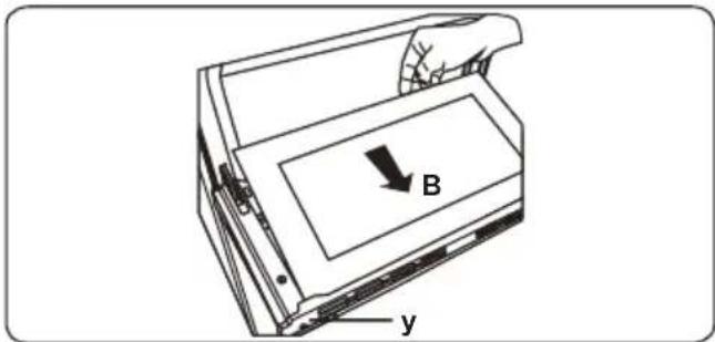 B y
