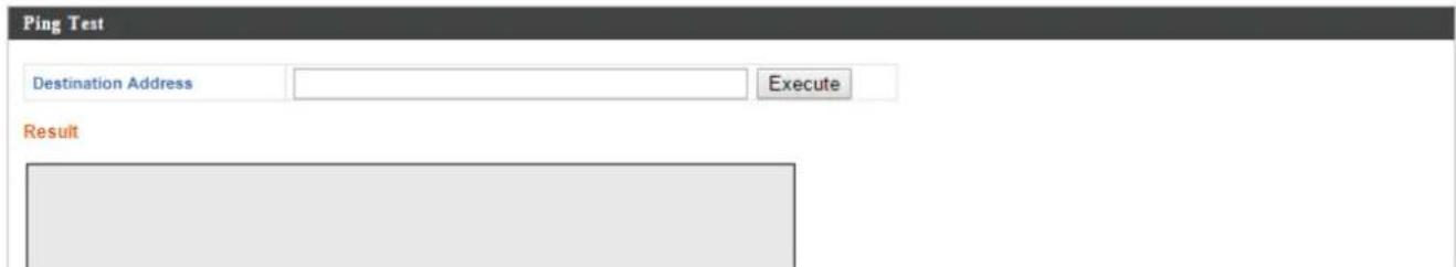 Ping Test Destination Address Execute Result