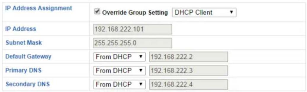 IP Address Assignment Override Group Setting DHCP Client IP Address 192.168.222.101 Subnet Mask 255.255.255.0 Default Gateway From DHCP ▼ 192.168.222.2 Primary DNS From DHCP ▼ 192.168.222.3 Secondary DNS From DHCP ▼ 192.168.222.4