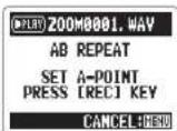 ZOOM APH-2n - Loop playback of a set interval (AB REPEAT) - 3