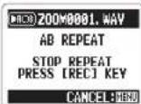 ZOOM APH-2n - Loop playback of a set interval (AB REPEAT) - 8