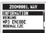 ZOOM APH-2n - Checking fi le information - 5