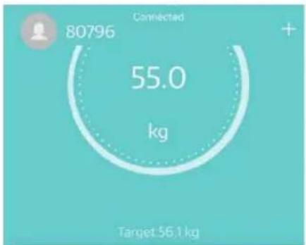 Izzy SmartApp IZ-7005 - How to Change/Add User - 2