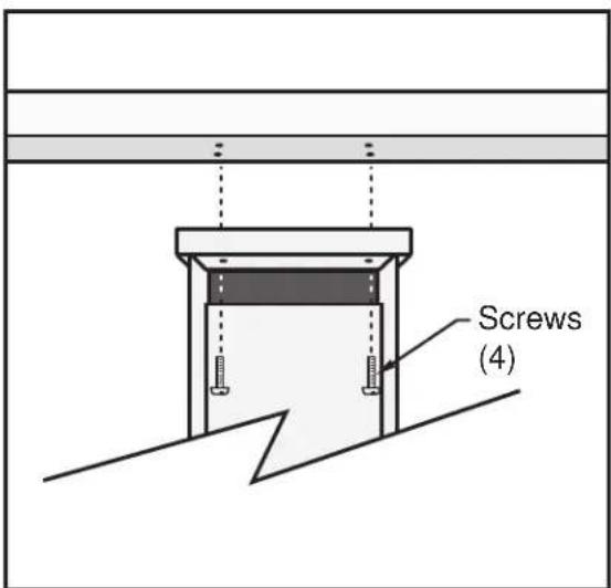 Screws (4)