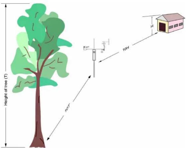 Height of tree (T) 10^T 10^H H