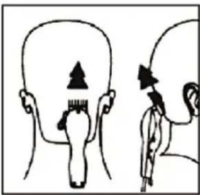 Innoliving INN-616 - STEP 1 - NAPE - 1