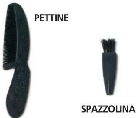 PETTINE SPAZZOLINA