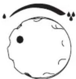 Innoliving INN-069 - Mist volume knob - 3