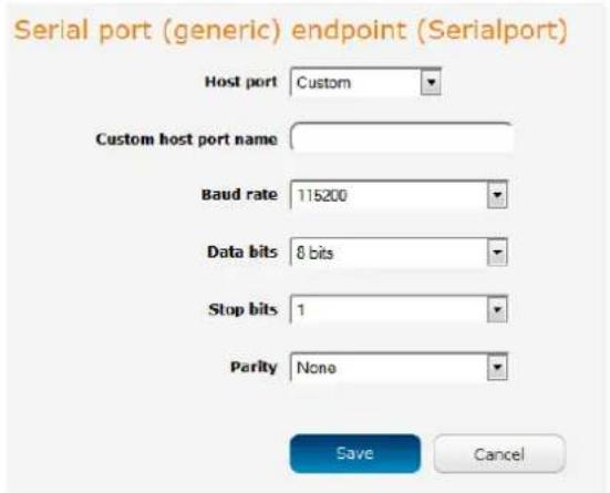 Serial port (generic) endpoint (Serialport) Host port Custom Custom host port name Baud rate 115200 Data bits 8 bits Stop bits 1 Parity None Save Cancel