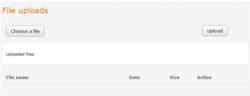 File uploads Choose a file Upload Uploaded files File name Date Size Action