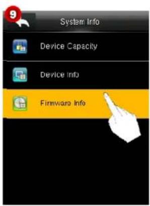 System Info Device Capacity Device Info Firmware Info