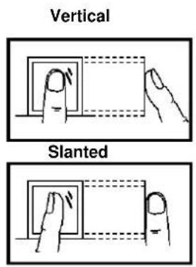 Vertical Slanted