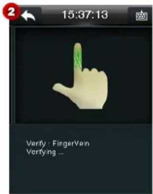 15:37:13 Verify : FingerVein Verifying ...