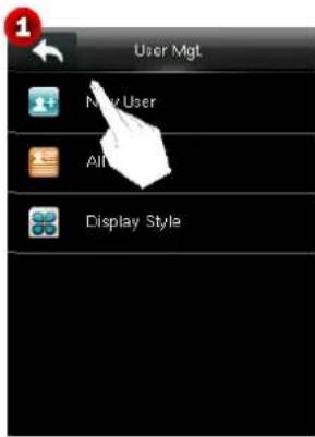 User Mgt New User All Display Style
