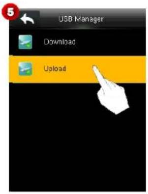 USB Manager Download Upload