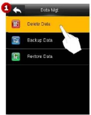 Data Mgt Delete Data Backup Data Restore Data