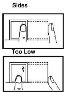 Sides Too Low