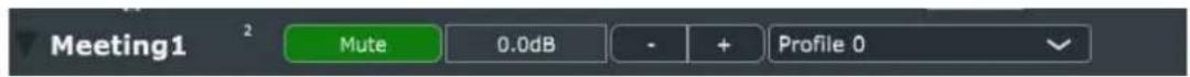 Meeting1 Mute 0.0dB - + Profile 0