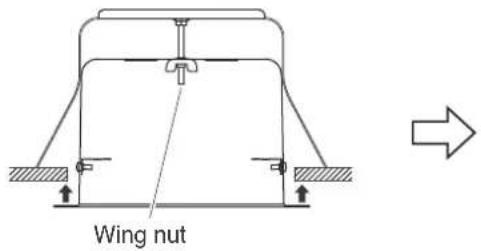 Wing nut