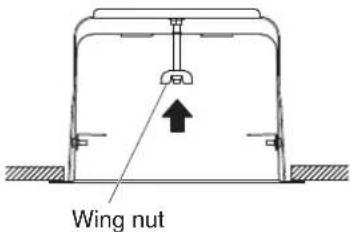 Wing nut