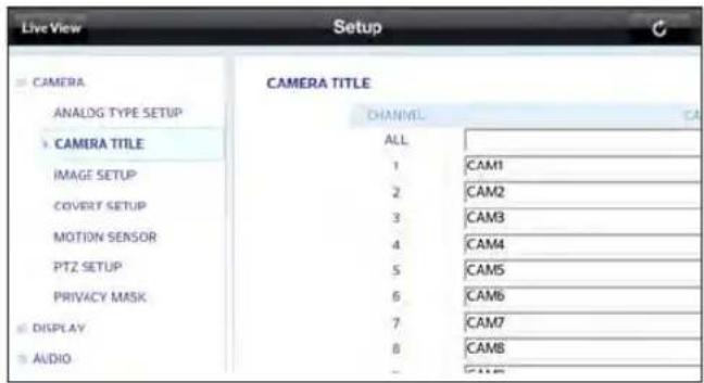 Live View Setup CAMERA ANALOG TYPE SETUP CAMERA TITLE IMAGE SETUP COVERT SETUP MOTION SENSOR PTZ SETUP PRIVACY MASK DISPLAY AUDIO CAMERA TITLE CHANNEL ALL 1 CAM1 2 CAM2 3 CAM3 4 CAM4 5 CAM5 6 CAM6 7 CAM7 8 CAM8 9