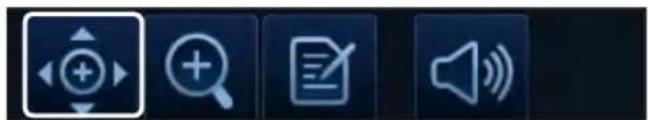 Screenshot of a software toolbar with five function icons: play button, magnifying glass, document, speaker, and sound wave.