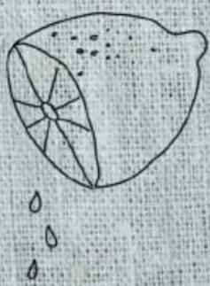 Simple line drawing of a seed or fruit with visible internal segments and two small droplets below (no text or symbols)