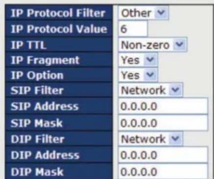 IP Protocol Filter IP Protocol Value IP TTL IP Fragment IP Option SIP Filter SIP Address SIP Mask DIP Filter DIP Address DIP Mask Other 6 Non-zero Yes Yes Network 0.0.0.0 0.0.0.0 Network 0.0.0.0 0.0.0.0