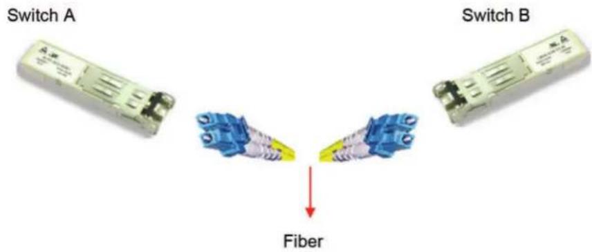 Switch A Switch B Fiber