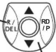 R/ DEL RD /P