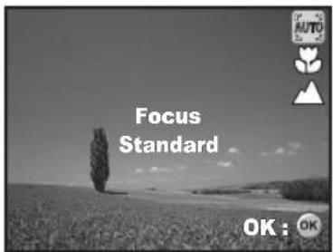 Focus Standard OK : OK