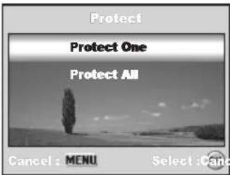 Protect Protect One Protect All Cancel : MENU Select : Canc