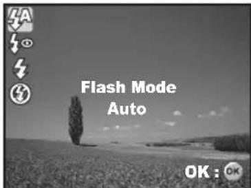 Flash Mode Auto OK: OK