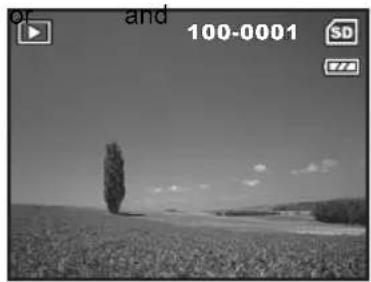 SANYO VPC-S600 - Viewing Images - 1