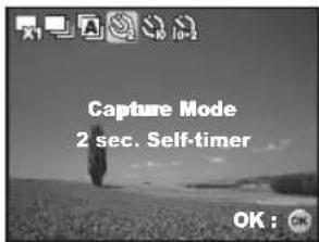 Capture Mode 2 sec. Self-timer OK : OK