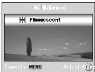 W. Balance Florescent Cancel: MENU Select: Canc