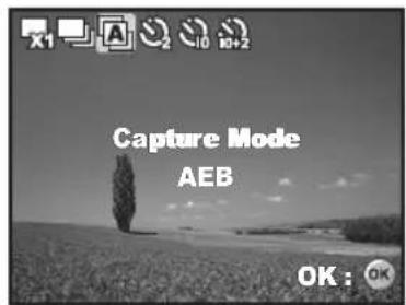 Capture Mode AEB OK : OK
