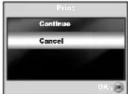 SANYO VPC-S600 - Printing images - 7
