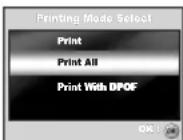 SANYO VPC-S600 - Printing images - 8