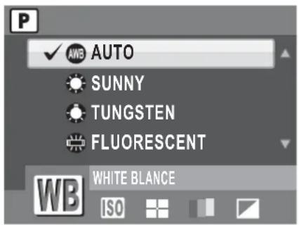 AUTO SUNNY TUNGSTEN FLUORESCENT WHITE BLANCE WB ISO
