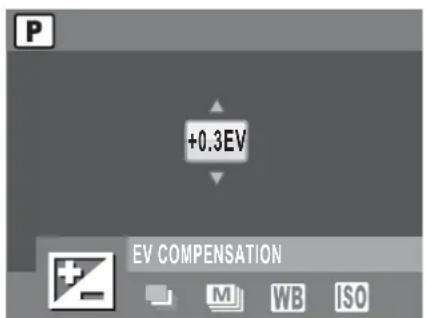 +0.3EV EV COMPENSATION