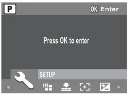 OK Enter Press OK to enter SETUP