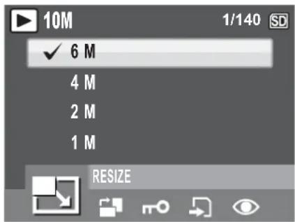 10M ✓ 6 M 4 M 2 M 1 M RESIZE