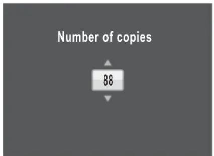 Number of copies 88