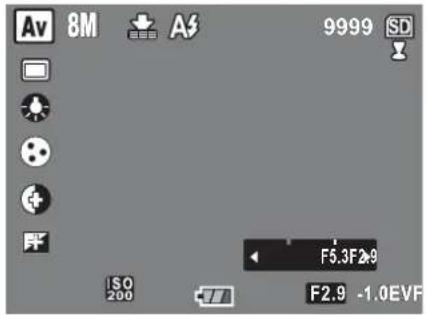 Av 8M A3 9999 SD F5.3F2.9 ISO 200 F2.9 -1.0EVF