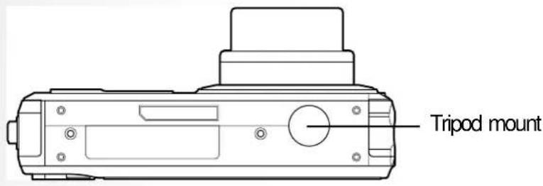 Tripod mount