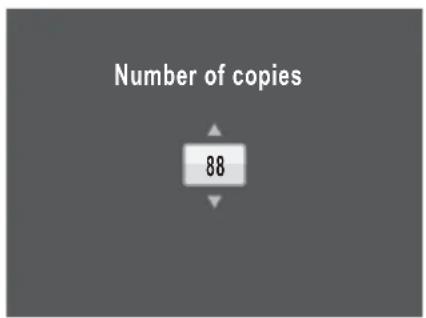 Number of copies 88