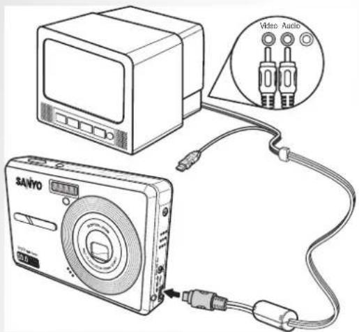 Video Audio SAVYO