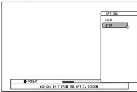 OPTIONS BACK STOP FORMAT YOU CAN EXIT FROM THE OPTION SCREEN